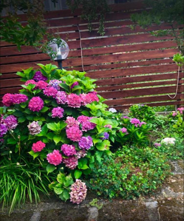 Il Giardino Segreto Apartment Carbognano Exterior foto