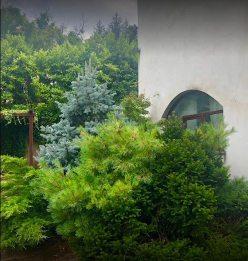 Il Giardino Segreto Apartment Carbognano Exterior foto